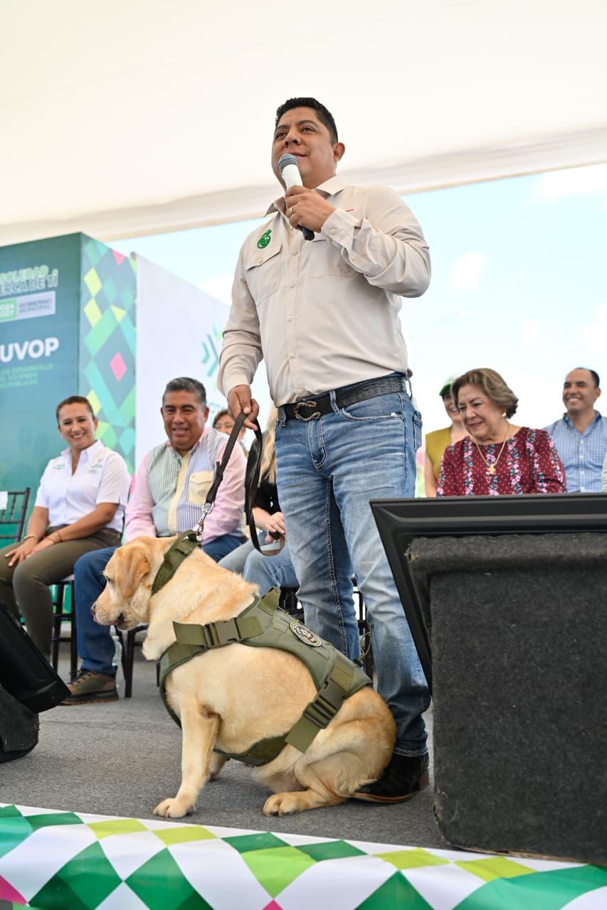 DIPUTADOS FEDERALES Y SENADOR AVALAN EL COMPROMISO DE RICARDO GALLARDO CON LOS ANIMALES