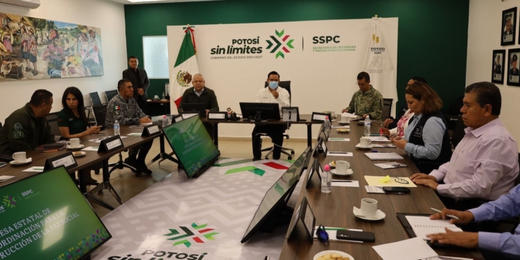 Plan Integral que pondera la prevención y protección de las familias. 