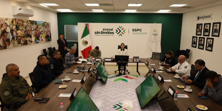Detenidos dos objetivos criminales en la Delegación