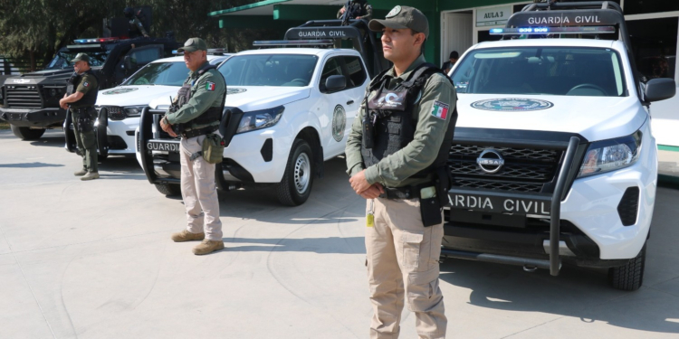 ACCIONES CONTUNDENTES PARA LA SEGURIDAD EN EL ESTADO