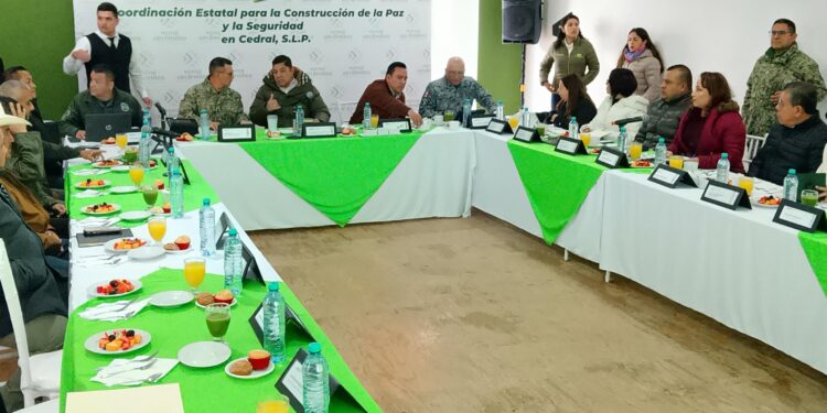 MESA ITINERANTE DE SEGURIDAD EN CEDRAL