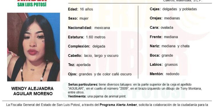 *FISCALÍA INICIA ALERTA AMBER PARA LOCALIZAR A UNA JOVEN EN EL ALTIPLANO POTOSINO*