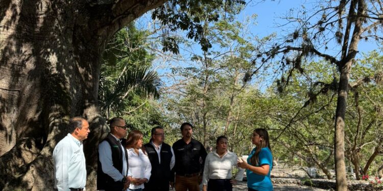 ESTADO PARTICIPA EN INSTALACIÓN DE COMITÉ PARA PROTEGER LA CUENCA DEL RÍO AXTLA