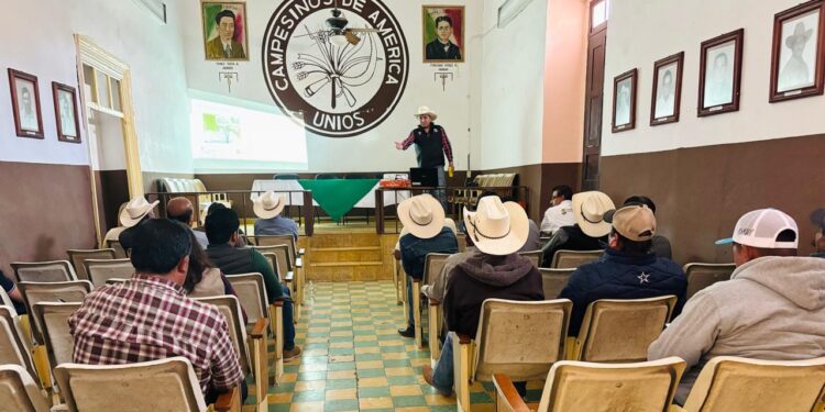 REFUERZAN MEDIDAS PREVENTIVAS EN VILLA DE REYES ANTE CASOS DE GUSANO BARRENADOR