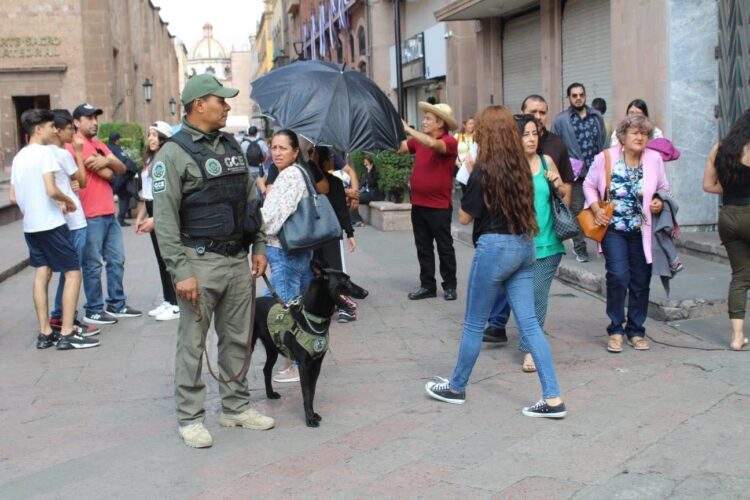 LISTO OPERATIVO ESTATAL PARA UNA PROCESIÓN DEL SILENCIO SEGURA