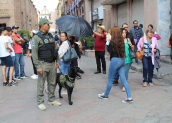 LISTO OPERATIVO ESTATAL PARA UNA PROCESIÓN DEL SILENCIO SEGURA