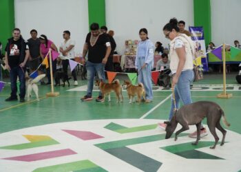 GOBIERNO ESTATAL INVITA AL DOG FEST JUVENTUD 2026