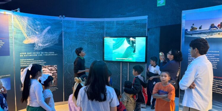 GOBIERNO ESTATAL FORTALECE ACCIONES POR LA NIÑEZ Y ADOLESCENCIA