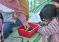 GOBIERNO ESTATAL FORTALECE ATENCIÓN PSICOLÓGICA INFANTIL