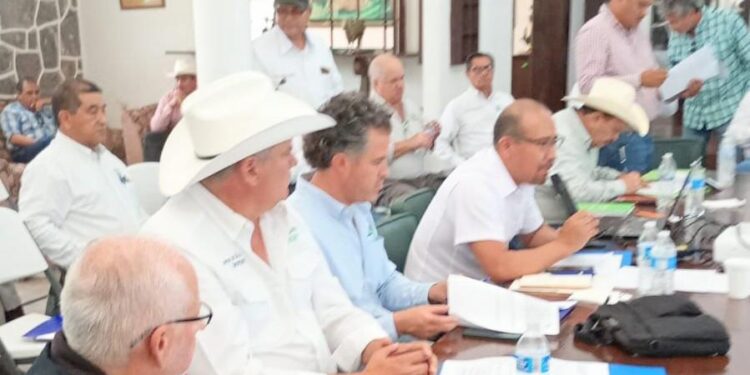 GOBIERNO ESTATAL REFUERZA PROTECCIÓN DEL CAMPO CAÑERO