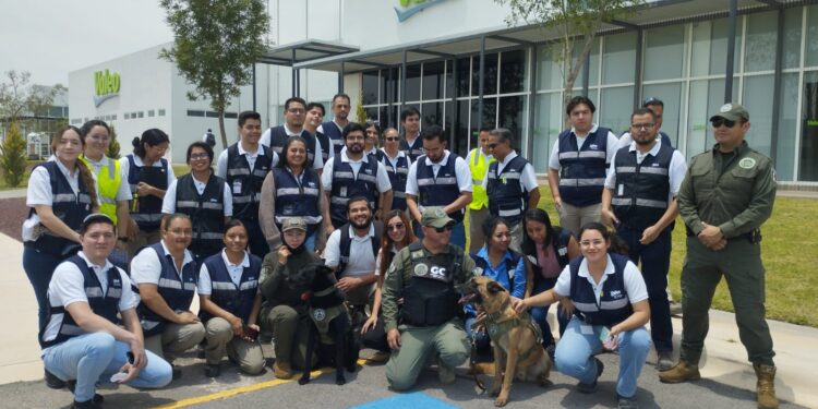 ESTRATEGIA INTEGRAL DE SEGURIDAD PERMITE LA REDUCCIÓN DE HOMICIDIOS DOLOSOS