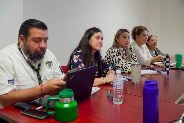 SSPC de la Capital pone en marcha entrega de estímulos económicos 2026
