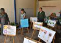 SAN LUIS DESTACA A NIVEL NACIONAL EN APRENDIZAJE ESCOLAR