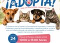 Gobierno de la Capital y asociaciones civiles impulsan Jornada de Adopción Responsable en favor del bienestar animal