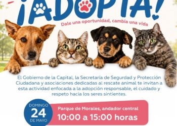 Gobierno de la Capital y asociaciones civiles impulsan Jornada de Adopción Responsable en favor del bienestar animal
