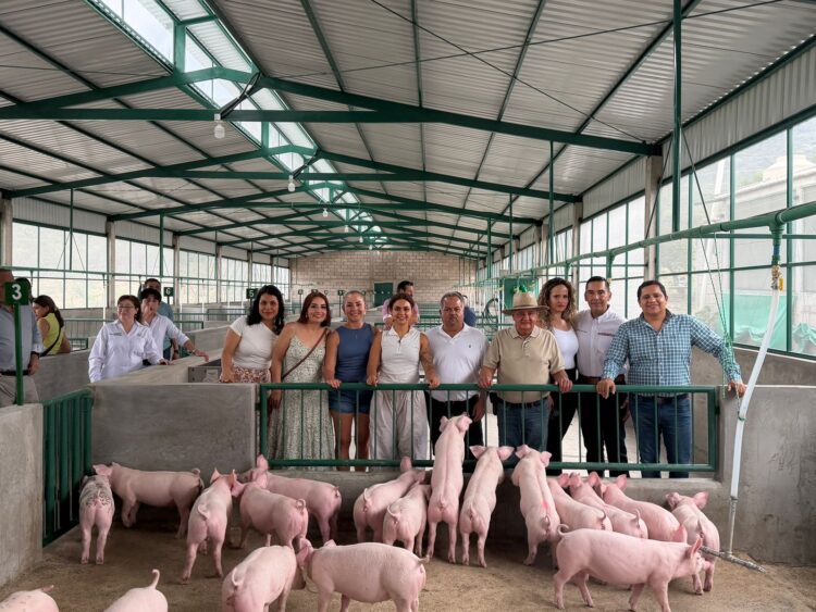 GOBIERNO ESTATAL FORTALECE PROYECTOS PRODUCTIVOS CON NUEVA GRANJA PORCÍCOLA