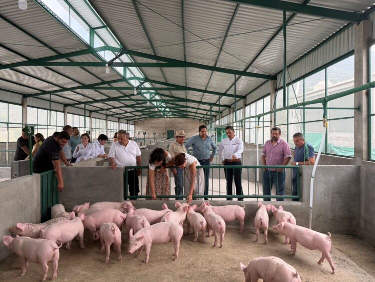 GOBIERNO ESTATAL FORTALECE PROYECTOS PRODUCTIVOS CON NUEVA GRANJA PORCÍCOLA