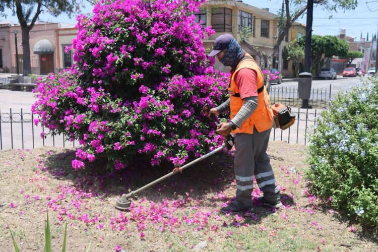Gobierno de la Capital realiza labores nocturnas de limpieza en el Centro Histórico