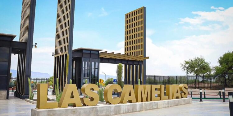 GOBIERNO ESTATAL REFUERZA MANTENIMIENTO DEL PARQUE LAS CAMELIAS EN MATEHUALA
