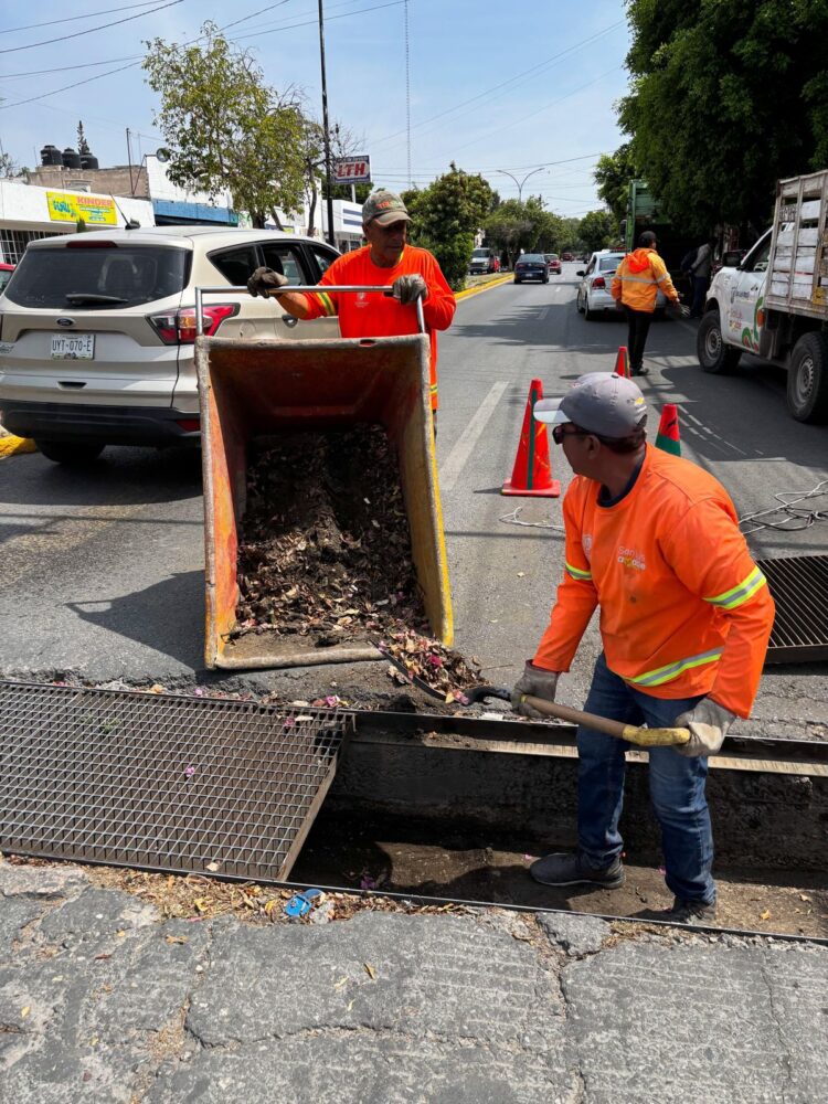 Desazolves preventivos realizados por el Gobierno de la Capital mitigaron afectaciones por intensa tormenta