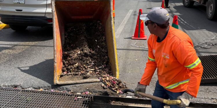 Desazolves preventivos realizados por el Gobierno de la Capital mitigaron afectaciones por intensa tormenta