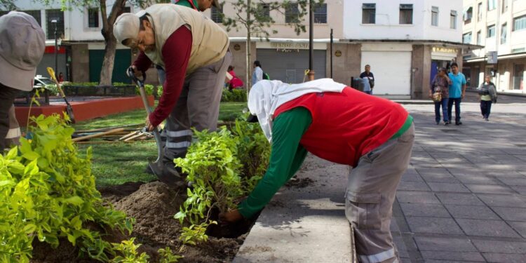 Gobierno de la Capital embellecen espacios emblemáticos del Centro Histórico