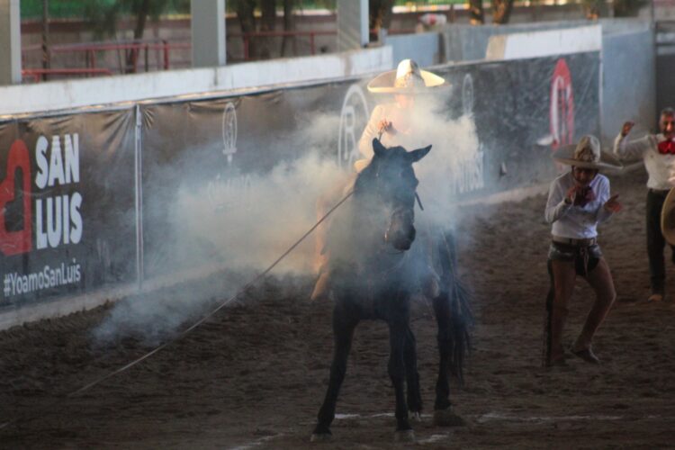NUEVOS TRIUNFOS POTOSINOS EN LA OLIMPIADA NACIONAL