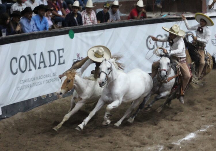NUEVOS TRIUNFOS POTOSINOS EN LA OLIMPIADA NACIONAL