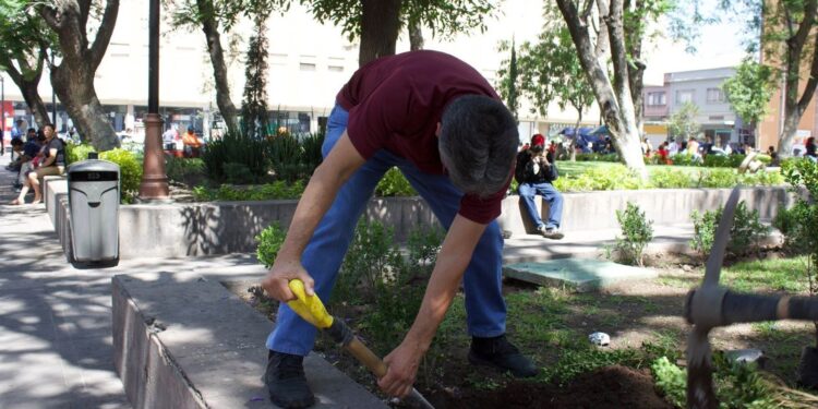 Gobierno de la Capital revitaliza el Jardín San Juan de Dios