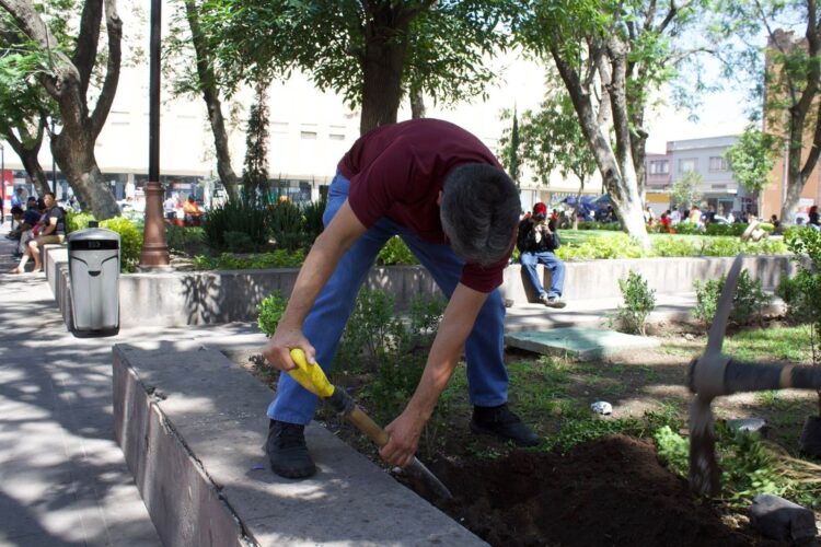 Gobierno de la Capital revitaliza el Jardín San Juan de Dios