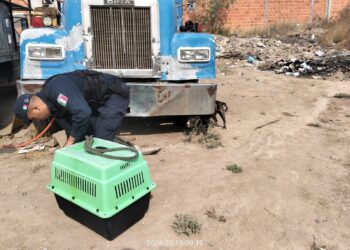 Policía dela Capital atiende hecho de abandono y maltrato animal en la colonia Los Magueyes