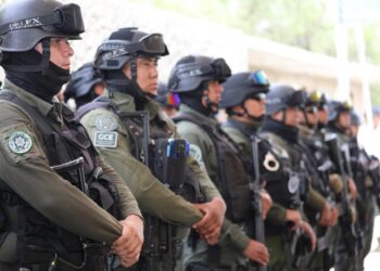 ACCIONES INSTITUCIONALES DE LA GCE CONSOLIDAN LA ESTRATEGIA DE SEGURIDAD EN EL ESTADO