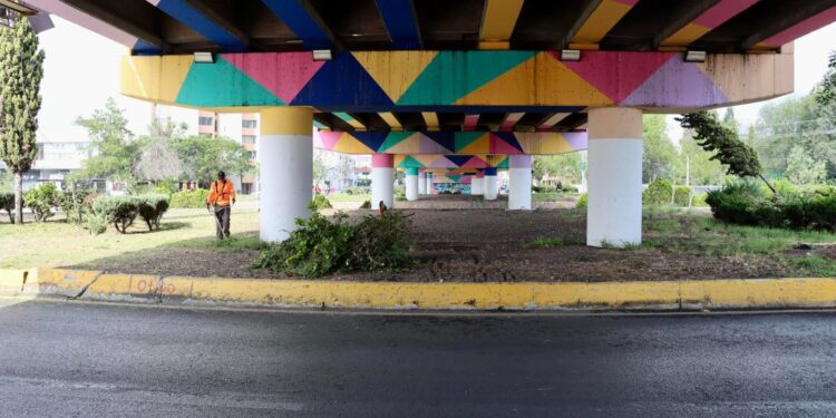 Ayuntamiento de SLP fortalece la imagen urbana con labores de limpieza y mantenimiento