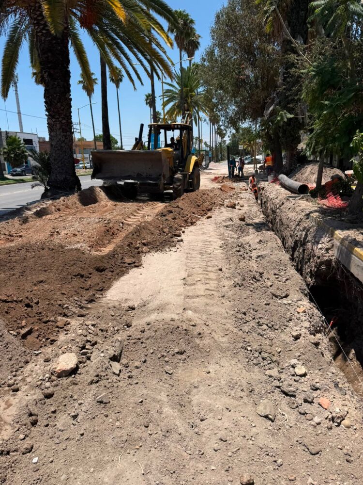 Interapas amplía rehabilitación sanitaria en avenida 20 de Noviembre