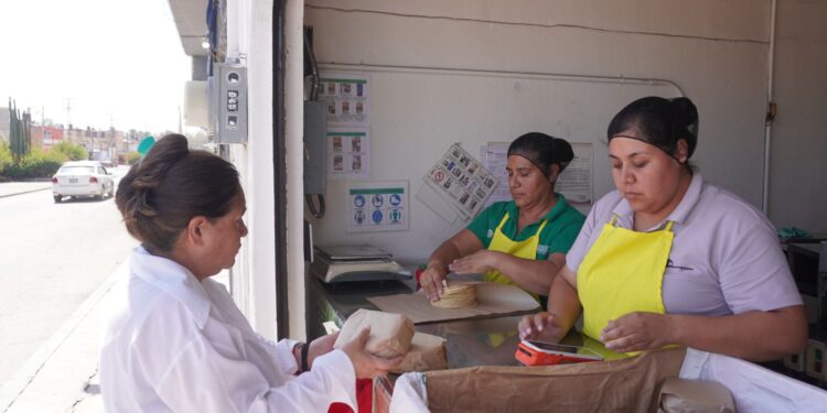 GOBIERNO ESTATAL ACERCA TORTILLA SUBSIDIADA A MÁS DE 200 MIL FAMILIAS