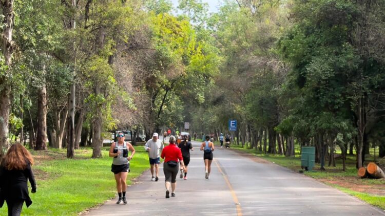 PARQUES TANGAMANGA REÚNEN A MÁS DE 71 MIL PERSONAS