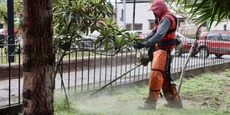 Gobierno de la Capital refuerza limpieza y mantenimiento en el Jardín de San Juan de Guadalupe