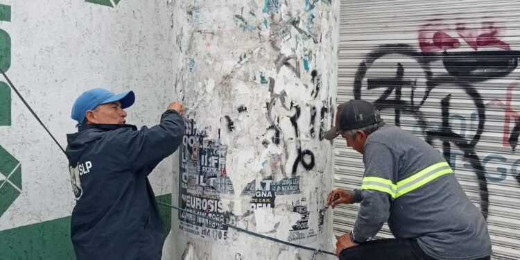 Gobierno Municipal interviene la Imagen de la Avenida Universidad