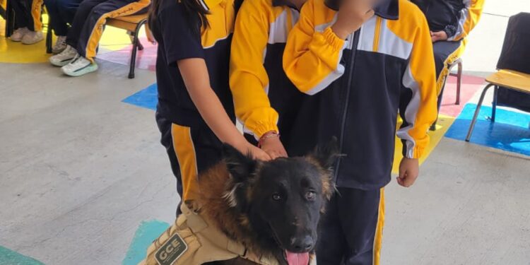 FOMENTAN EL RESPETO A LOS ANIMALES Y LA CULTURA DE LA PAZ ENTRE ESTUDIANTES POTOSINOS