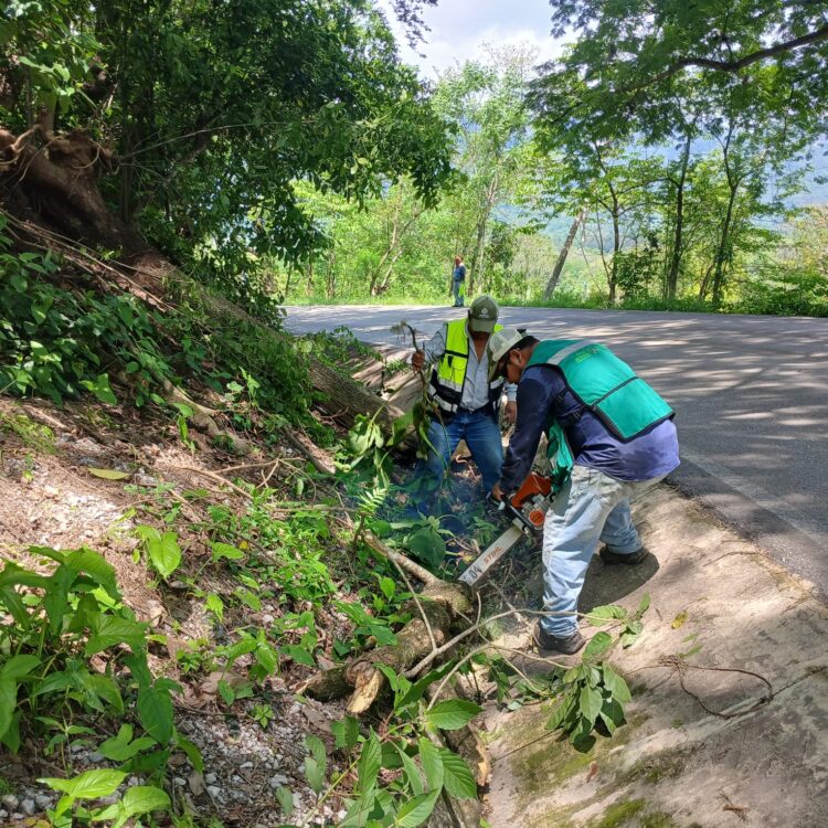 GOBIERNO ESTATAL FORTALECE LA MOVILIDAD CON 283 KILÓMETROS DE CAMINOS ATENDIDOS EN MAYO