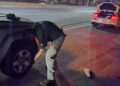 DIVISIÓN CAMINOS FORTALECE OPERATIVO “CORREDOR MUNDIALISTA” EN SAN LUIS POTOSÍ