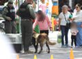 FERIA DE SEGURIDAD Y SERVICIOS ACERCA PROGRAMAS Y ATENCIÓN A FAMILIAS DE TIERRA NUEVA