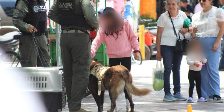 FERIA DE SEGURIDAD Y SERVICIOS ACERCA PROGRAMAS Y ATENCIÓN A FAMILIAS DE TIERRA NUEVA