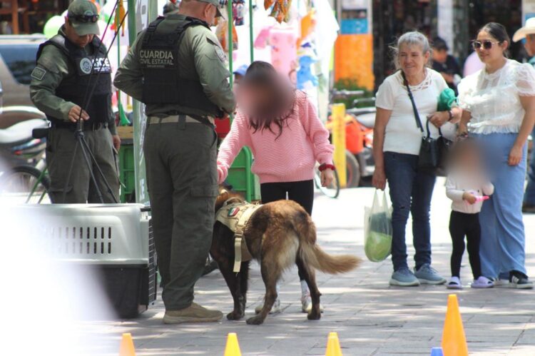FERIA DE SEGURIDAD Y SERVICIOS ACERCA PROGRAMAS Y ATENCIÓN A FAMILIAS DE TIERRA NUEVA