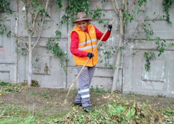 Gobierno de la Capital mantiene en óptimas condiciones la Avenida Salvador Nava
