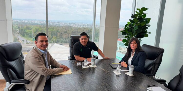 ORDEN Y PAZ SOCIAL AVANZAN CON TRABAJO COORDINADO: RICARDO GALLARDO