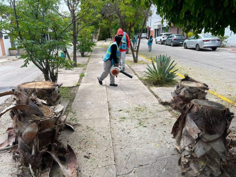 Gobierno de la Capital realiza labores de limpieza en avenidas