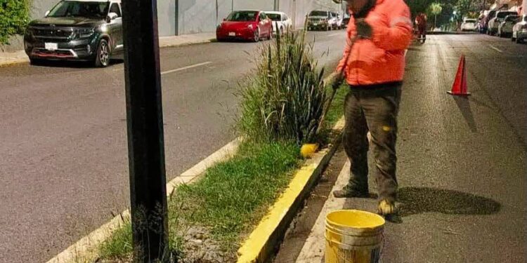 Gobierno de la Capital realiza labores de limpieza en avenidas