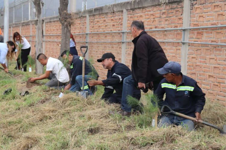 Suma Gobierno de la Capital  una reforestación más junto a las empresas Tubesa y Node Park en sus instalaciones