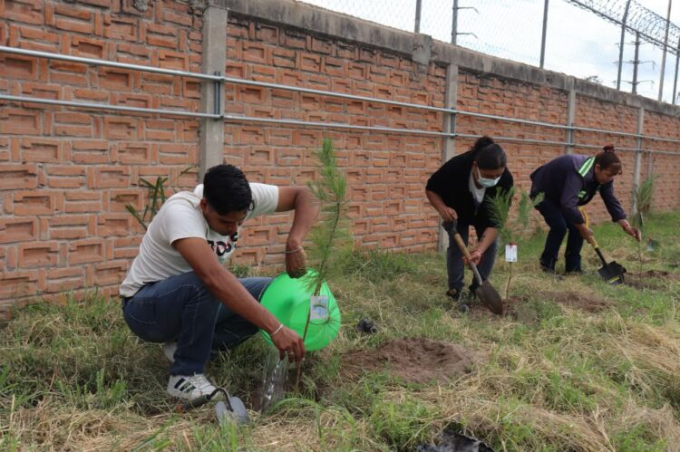Suma Gobierno de la Capital  una reforestación más junto a las empresas Tubesa y Node Park en sus instalaciones